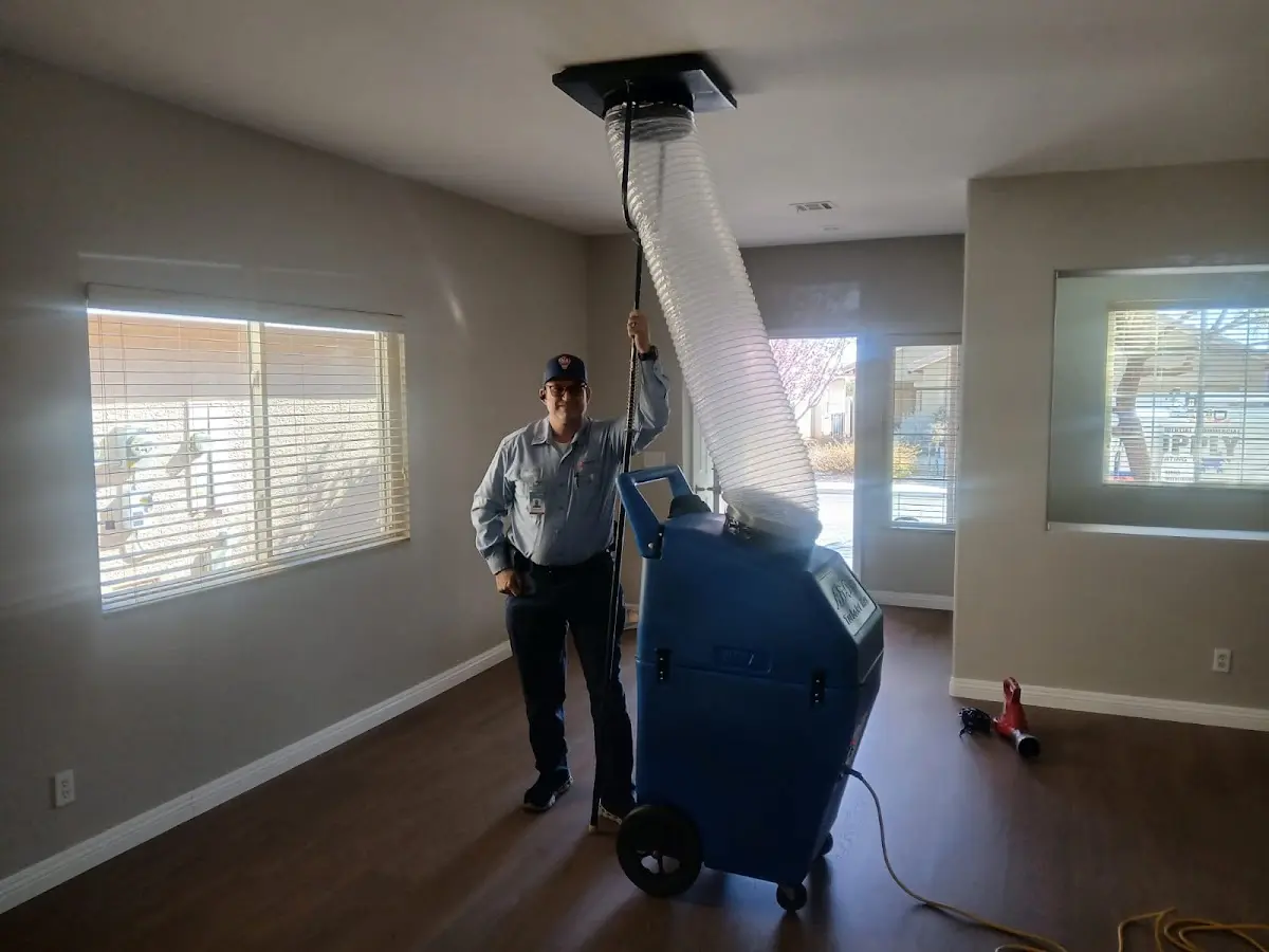 Professional Dryer Vent Cleaning work inside a West Seneca home
